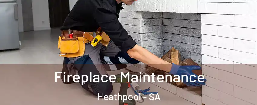  Fireplace Maintenance Heathpool - SA