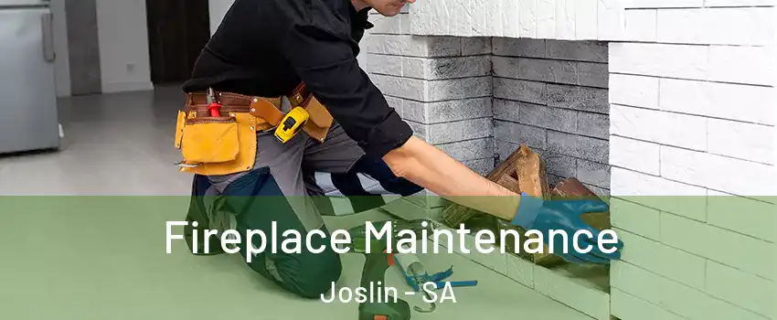 Fireplace Maintenance Joslin - SA