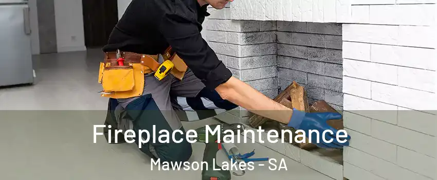 Fireplace Maintenance Mawson Lakes - SA