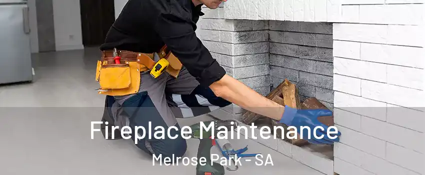 Fireplace Maintenance Melrose Park - SA