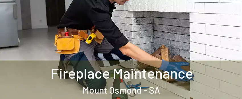 Fireplace Maintenance Mount Osmond - SA