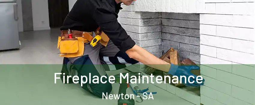  Fireplace Maintenance Newton - SA