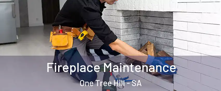 Fireplace Maintenance One Tree Hill - SA