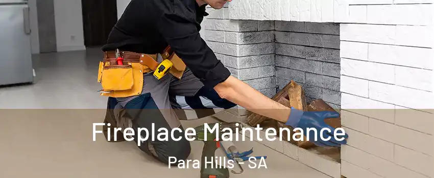 Fireplace Maintenance Para Hills - SA