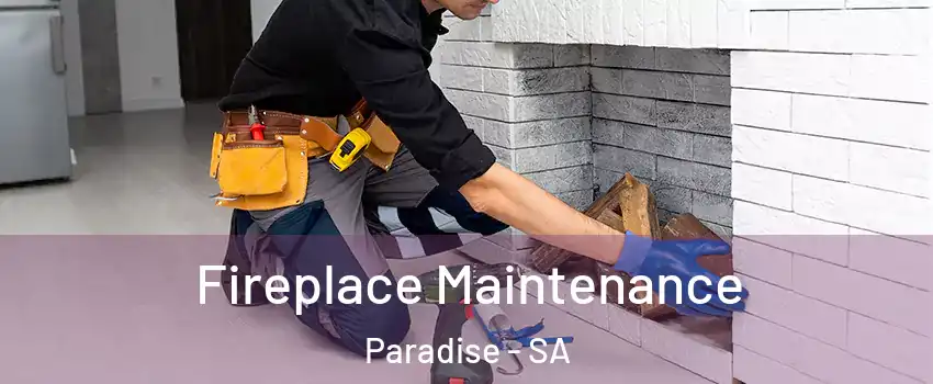 Fireplace Maintenance Paradise - SA