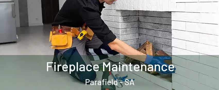 Fireplace Maintenance Parafield - SA