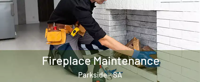 Fireplace Maintenance Parkside - SA