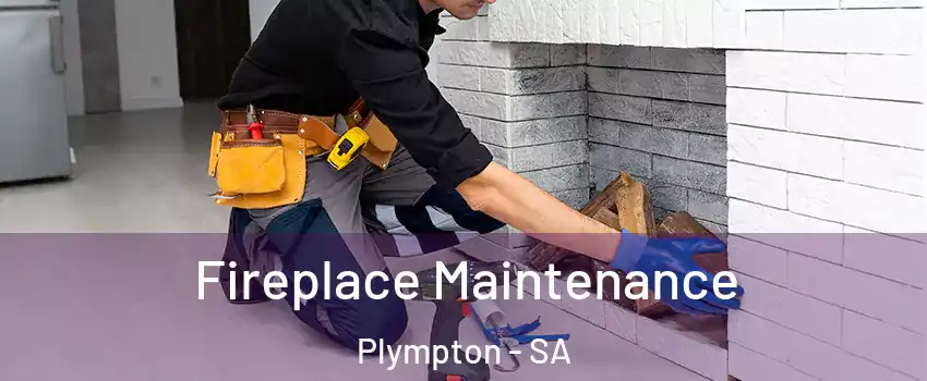 Fireplace Maintenance Plympton - SA