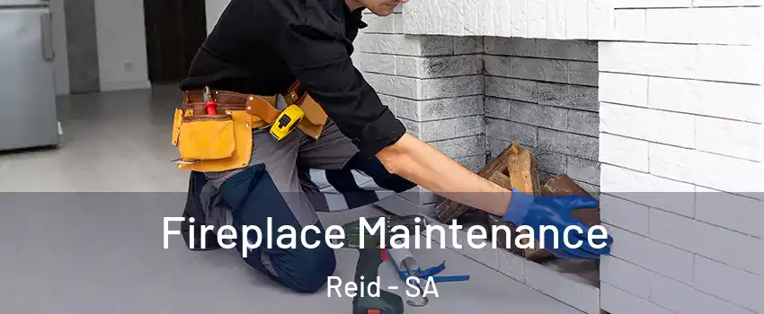 Fireplace Maintenance Reid - SA