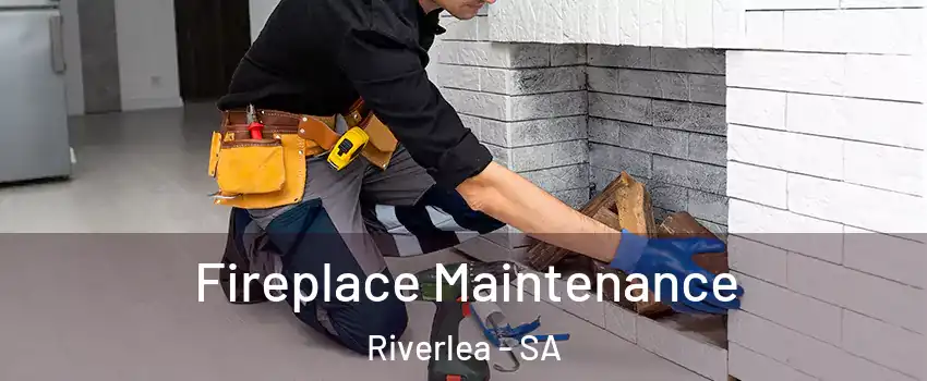 Fireplace Maintenance Riverlea - SA