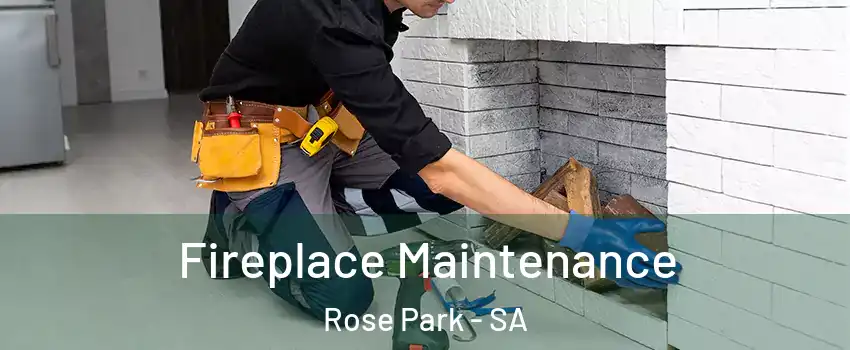 Fireplace Maintenance Rose Park - SA