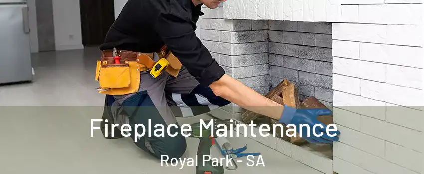 Fireplace Maintenance Royal Park - SA