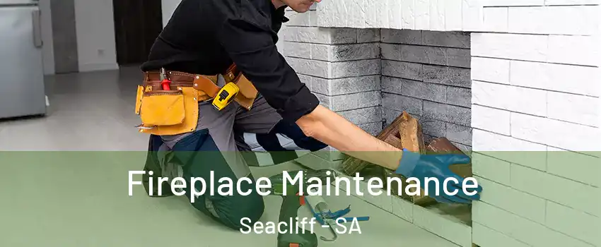  Fireplace Maintenance Seacliff - SA