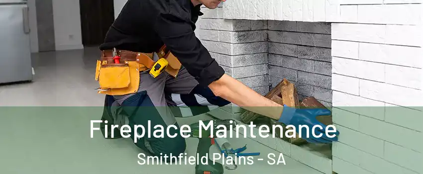 Fireplace Maintenance Smithfield Plains - SA