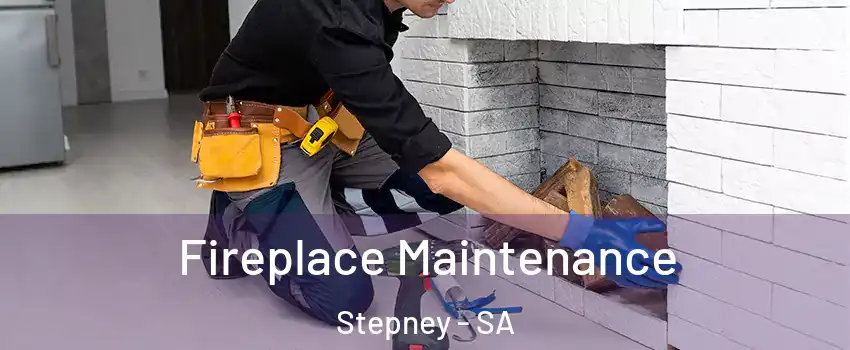 Fireplace Maintenance Stepney - SA