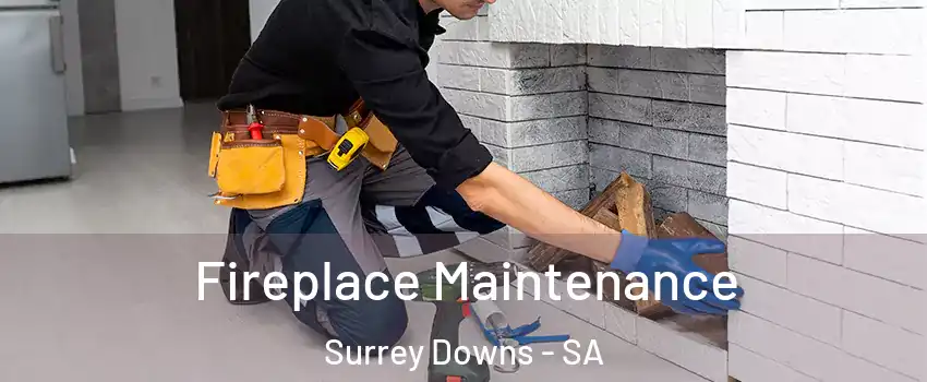 Fireplace Maintenance Surrey Downs - SA