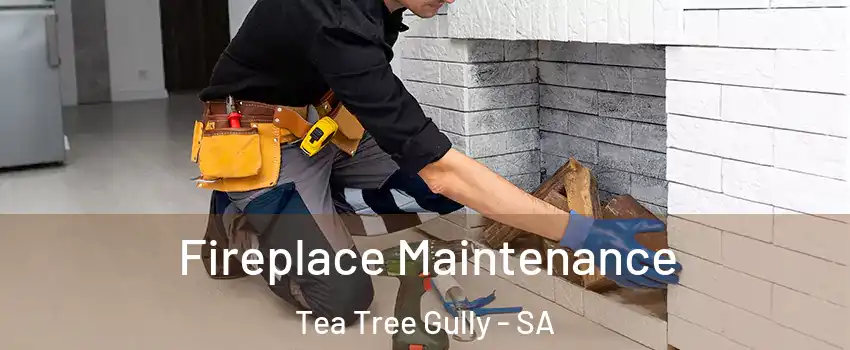 Fireplace Maintenance Tea Tree Gully - SA