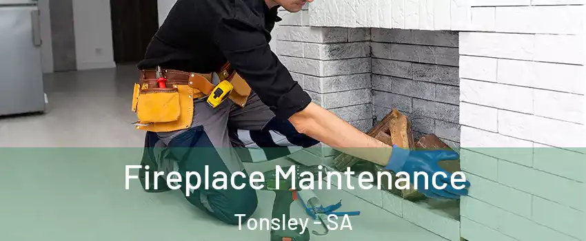 Fireplace Maintenance Tonsley - SA
