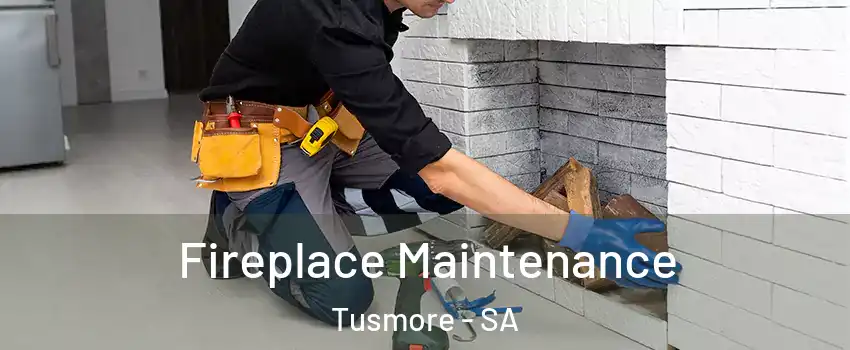 Fireplace Maintenance Tusmore - SA
