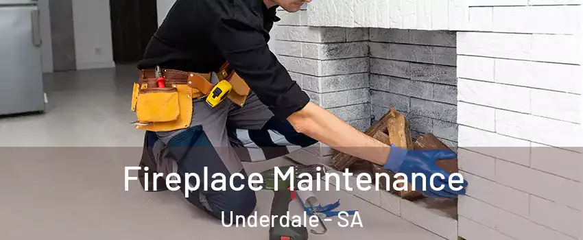 Fireplace Maintenance Underdale - SA