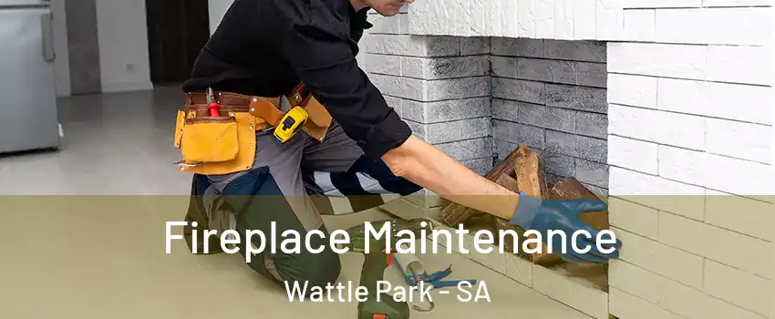 Fireplace Maintenance Wattle Park - SA