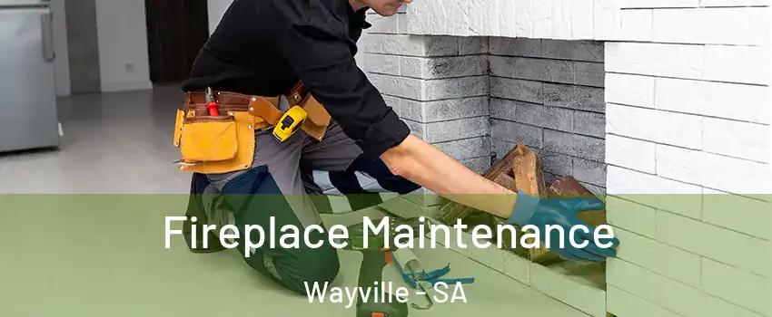Fireplace Maintenance Wayville - SA