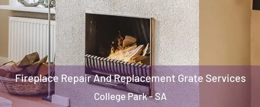 Fireplace Repair And Replacement Grate Services College Park - SA
