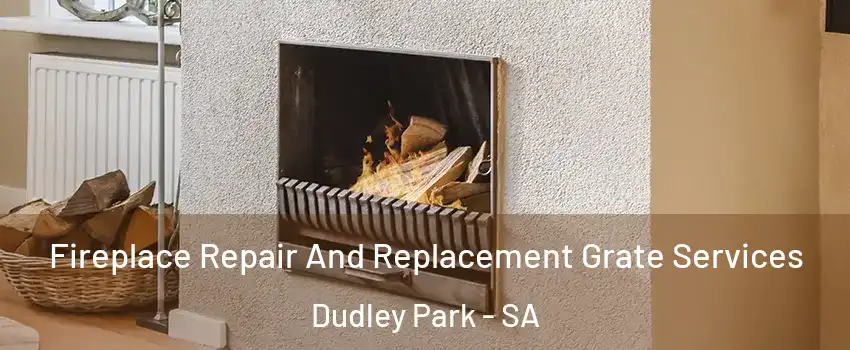 Fireplace Repair And Replacement Grate Services Dudley Park - SA