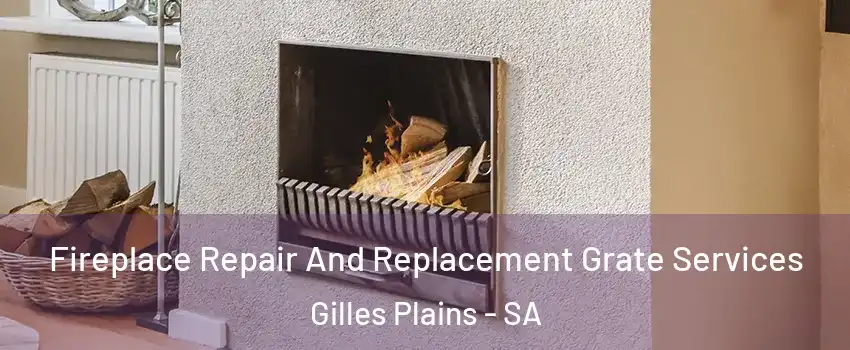 Fireplace Repair And Replacement Grate Services Gilles Plains - SA