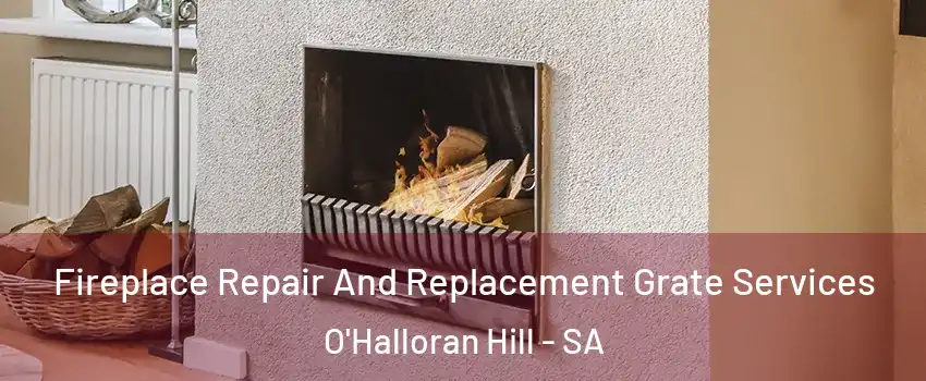 Fireplace Repair And Replacement Grate Services O'Halloran Hill - SA