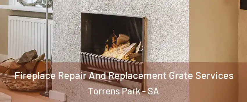 Fireplace Repair And Replacement Grate Services Torrens Park - SA