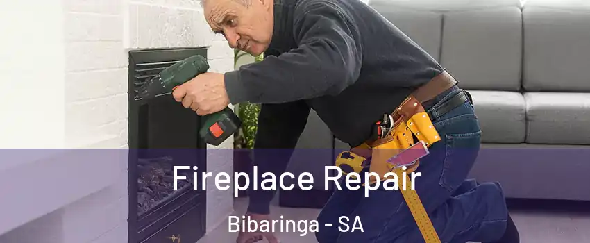 Fireplace Repair Bibaringa - SA