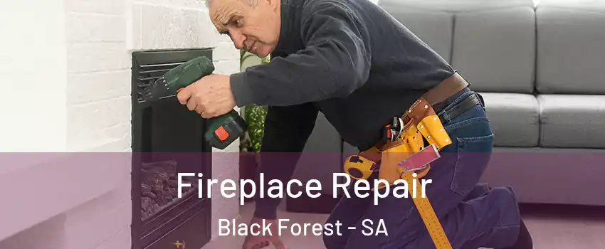 Fireplace Repair Black Forest - SA