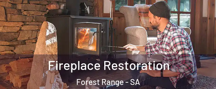Fireplace Restoration Forest Range - SA