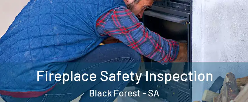 Fireplace Safety Inspection Black Forest - SA