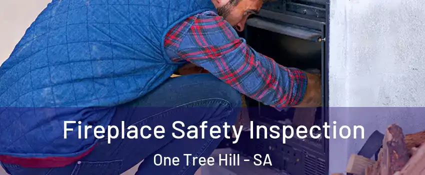 Fireplace Safety Inspection One Tree Hill - SA
