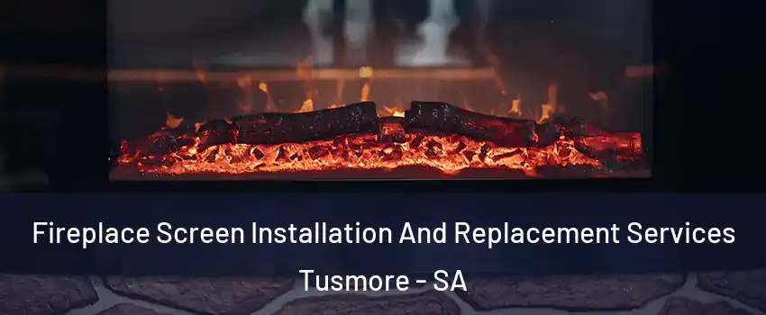  Fireplace Screen Installation And Replacement Services Tusmore - SA