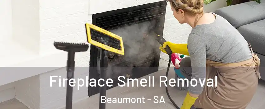 Fireplace Smell Removal Beaumont - SA