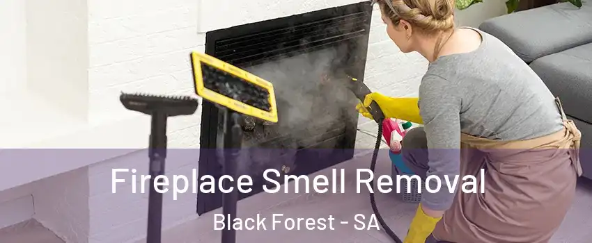 Fireplace Smell Removal Black Forest - SA
