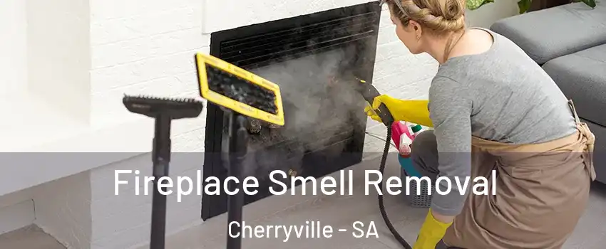 Fireplace Smell Removal Cherryville - SA
