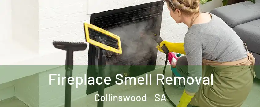Fireplace Smell Removal Collinswood - SA