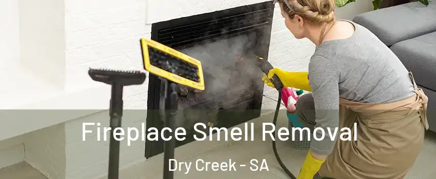  Fireplace Smell Removal Dry Creek - SA