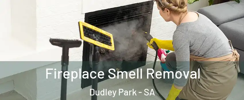 Fireplace Smell Removal Dudley Park - SA