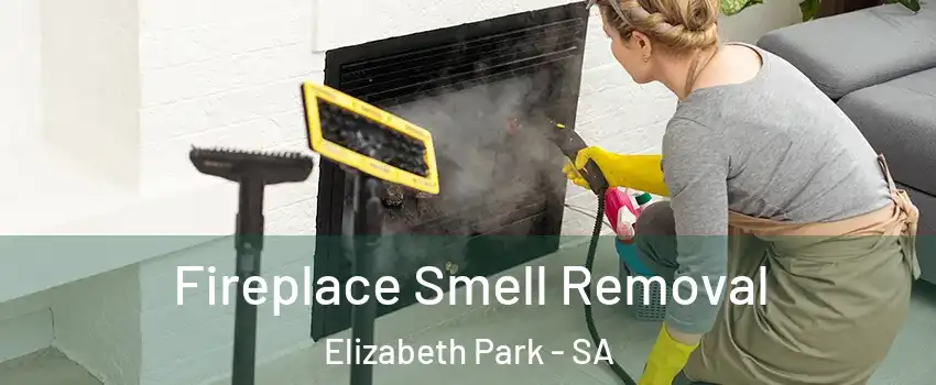  Fireplace Smell Removal Elizabeth Park - SA