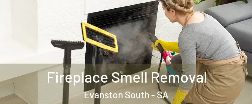 Fireplace Smell Removal Evanston South - SA