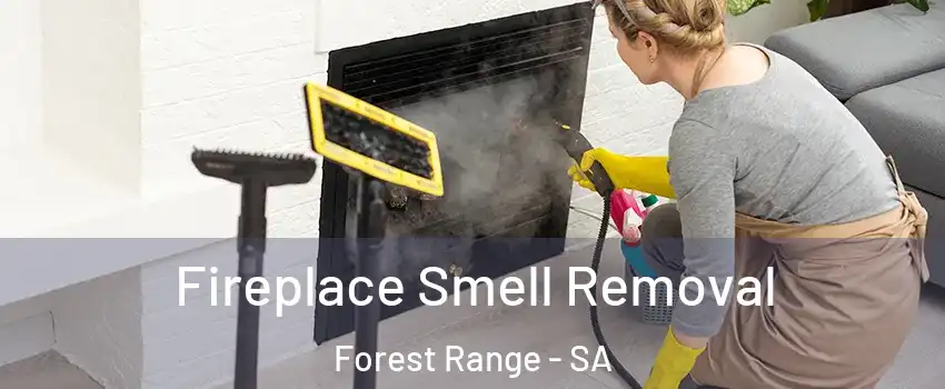 Fireplace Smell Removal Forest Range - SA