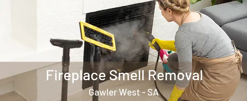 Fireplace Smell Removal Gawler West - SA