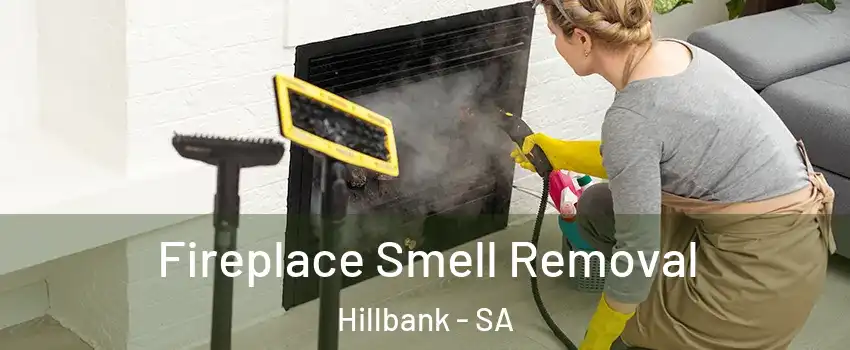 Fireplace Smell Removal Hillbank - SA