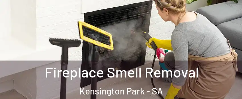 Fireplace Smell Removal Kensington Park - SA
