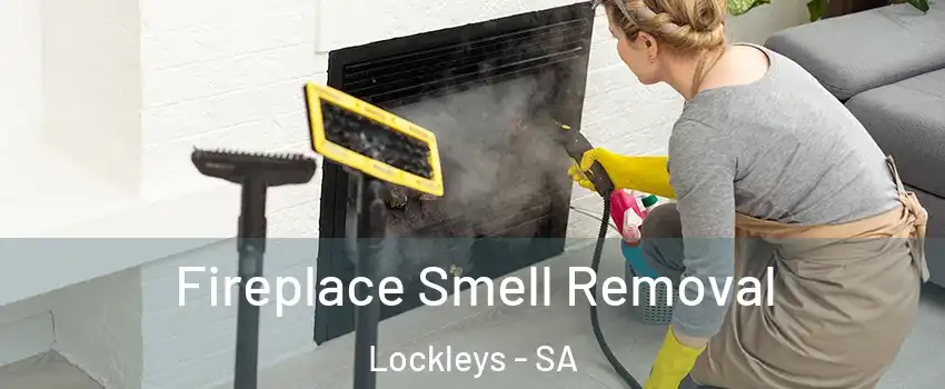 Fireplace Smell Removal Lockleys - SA
